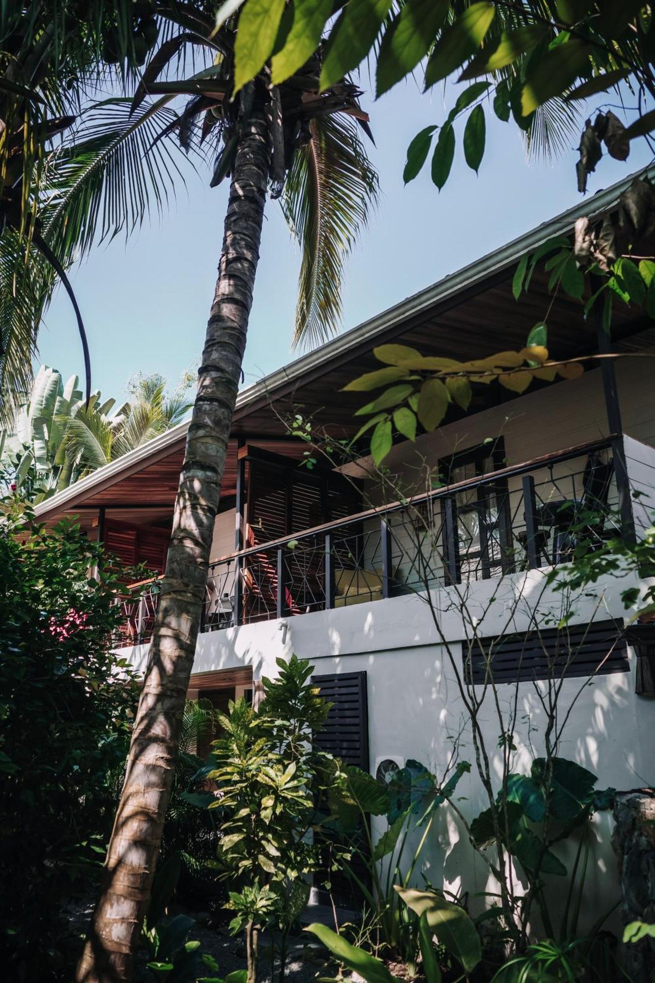 Conga Boutique Hotel Puerto Viejo de Talamanca Luaran gambar