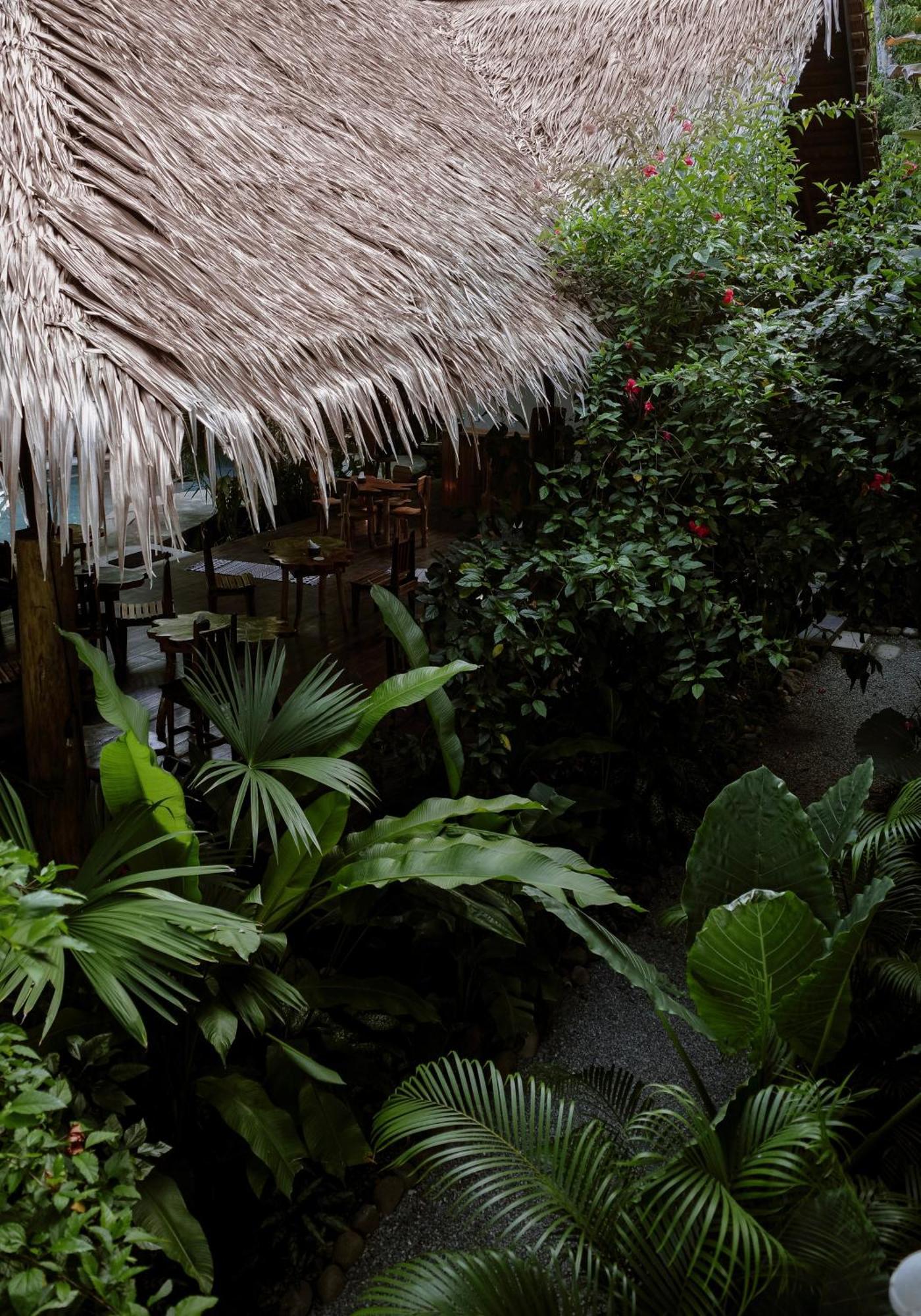 Conga Boutique Hotel Puerto Viejo de Talamanca Luaran gambar