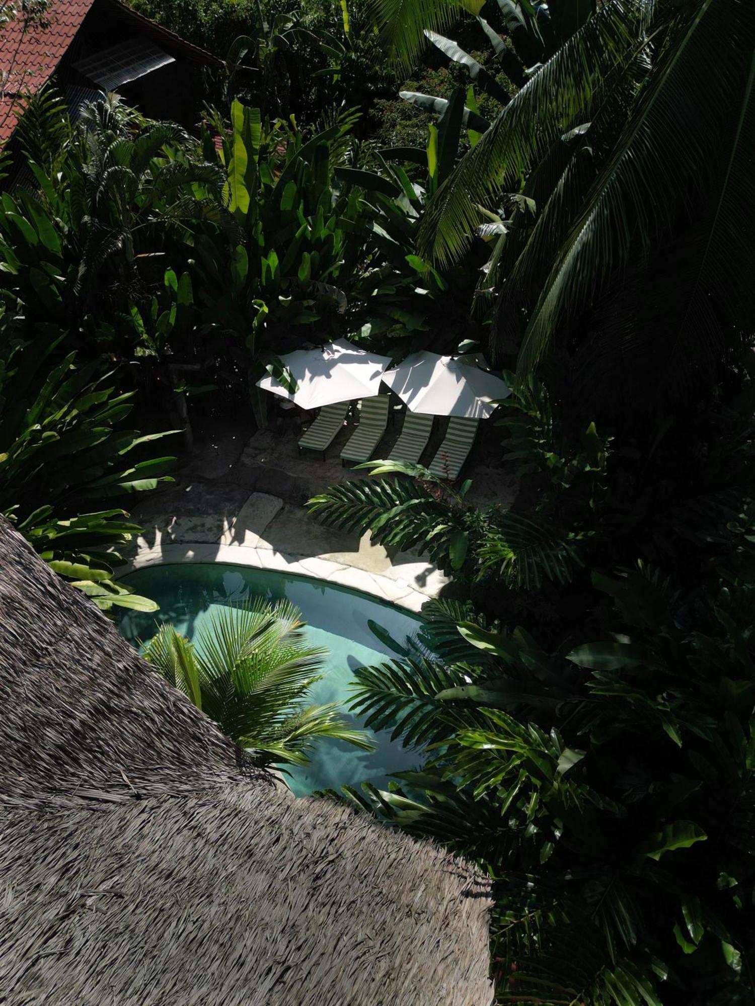 Conga Boutique Hotel Puerto Viejo de Talamanca Luaran gambar